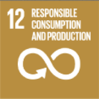 Responsible Consumption and Production icon