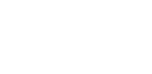 tweeling white logo