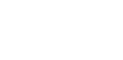 tweeling white logo